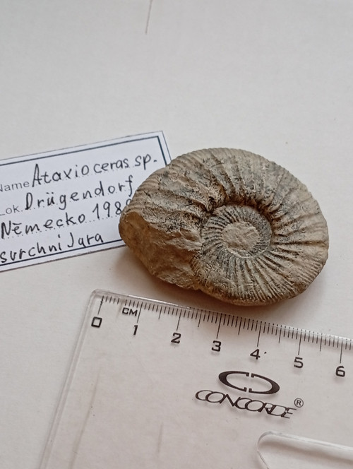 Ataxioteras