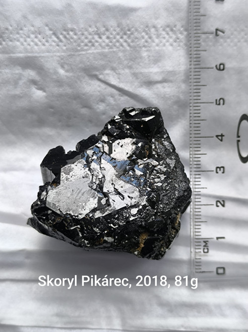 Skoryl