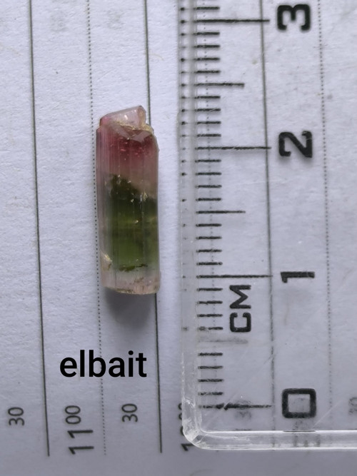 Elbait