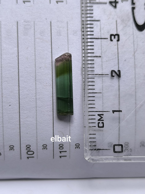 Elbait
