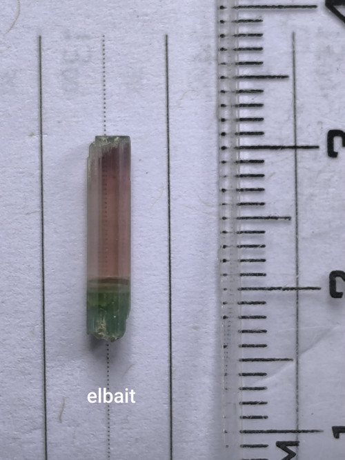 Elbait