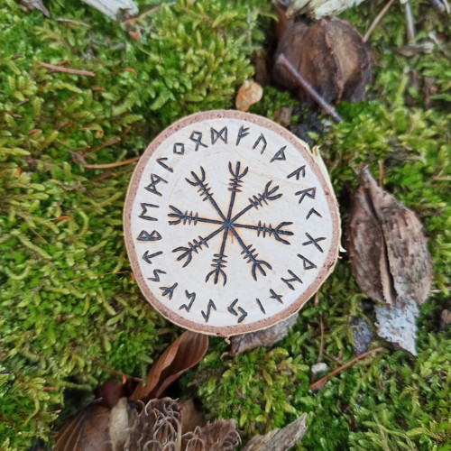 Magnetka Aegishjalmur s runami