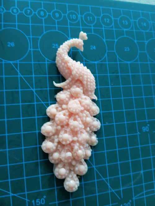 Páv