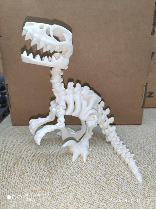 Kostra - Raptor