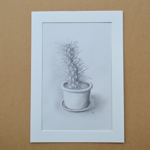 Originál - Z mé sbírky kaktusů III. 29,5 x 21cm