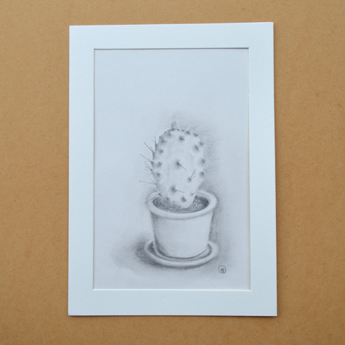 Originál - Z mé sbírky kaktusů IV. 29,5 x 21cm