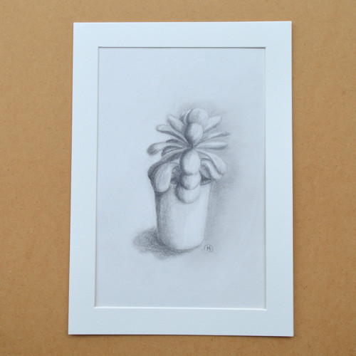 Originál - Z mé sbírky kaktusů VI. 29,5 x 21cm