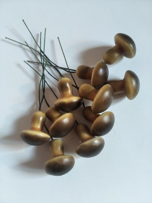Hříbečky — foto 1