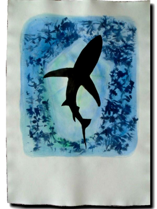 SHARK — foto 1