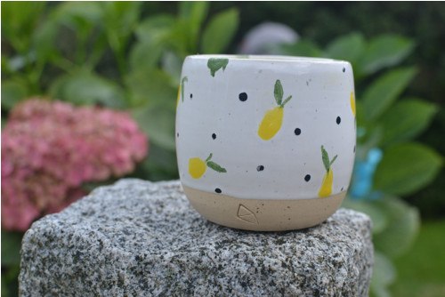 Kalíšek "Citron" 170 ml