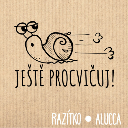 Razítko R309 vel.3 cm