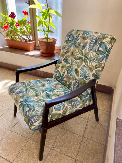 Křesílko monstera