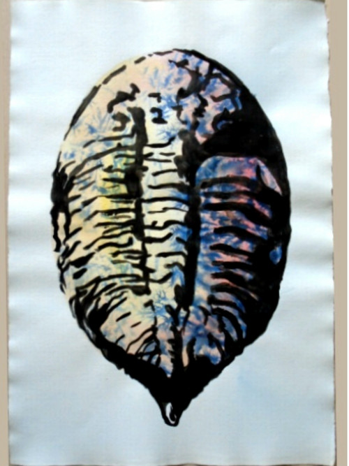 Trilobit