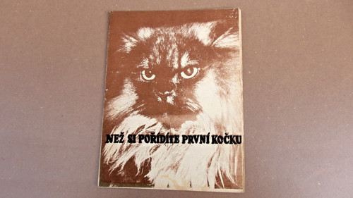 Kočka — foto 1