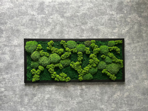 Mechový obraz 80x35cm