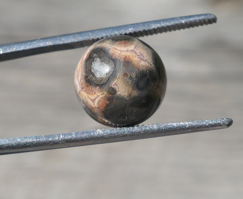 Kulička - jaspis leopardí 10,2 mm V1344 — foto 1