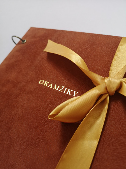 Okamžiky