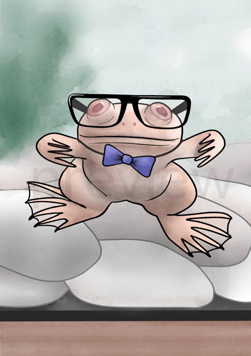 Zvědavá žabička (drápatka vodní)