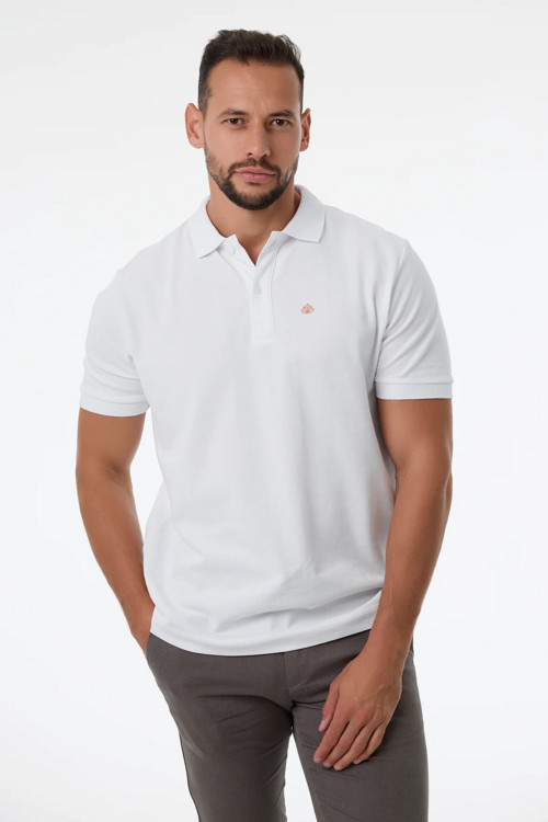 Pánské polo tričko z bio bavlny | Iconic 2.0