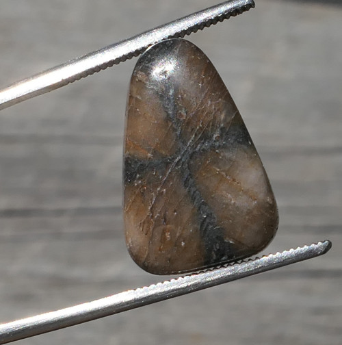 Chiastolit (17 mm) V1423