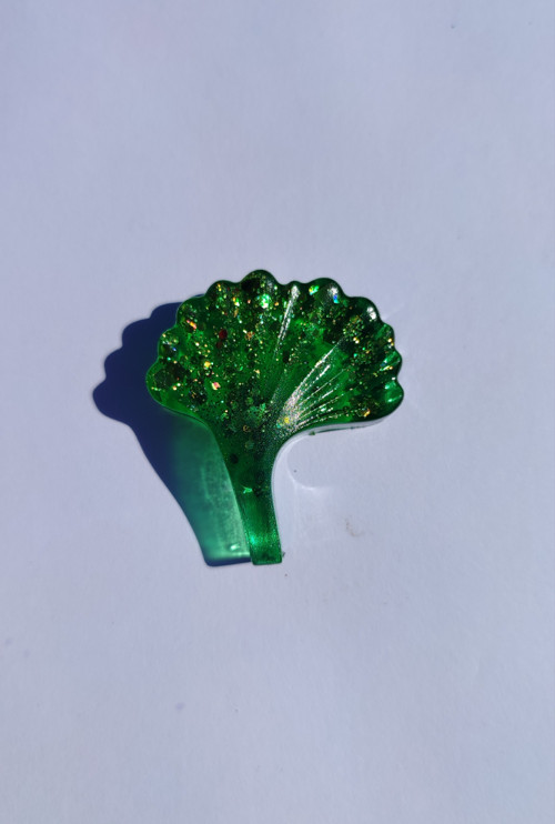 List Ginkgo biloba — foto 1