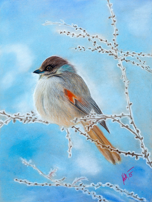 Frozen Feathers — foto 1