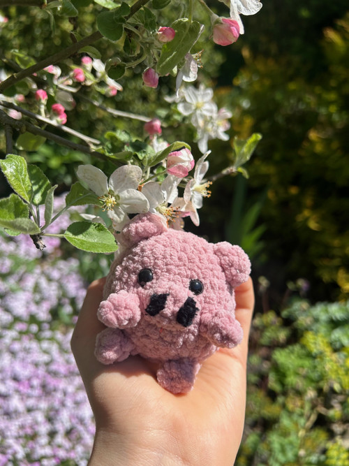 Prasátko pro štěstí/Piggy piggy