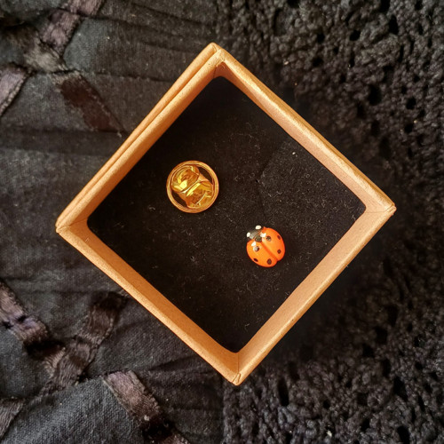 Mini brož - beruška — foto 1