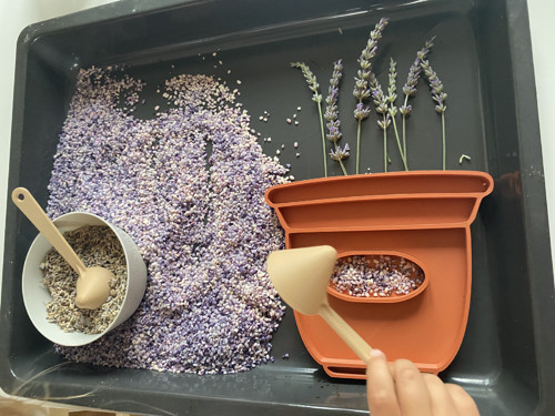 Sensory play sada levandule