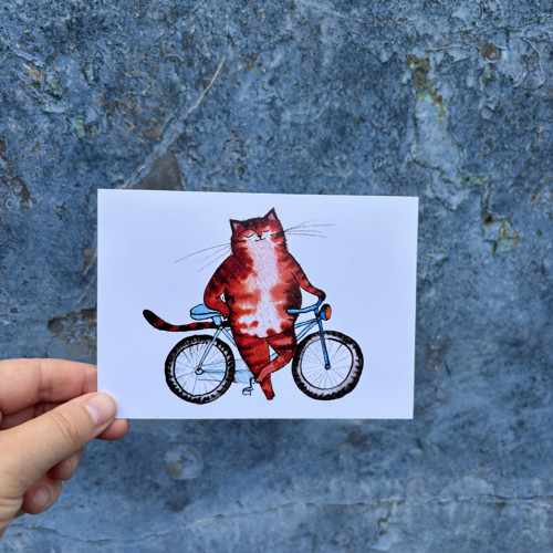 Pohlednice- Kočičí cyklisti — foto 1