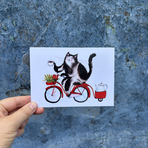 Pohlednice- Kočičí cyklisti — foto 1