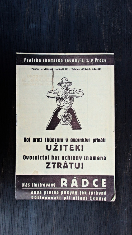 Rádce