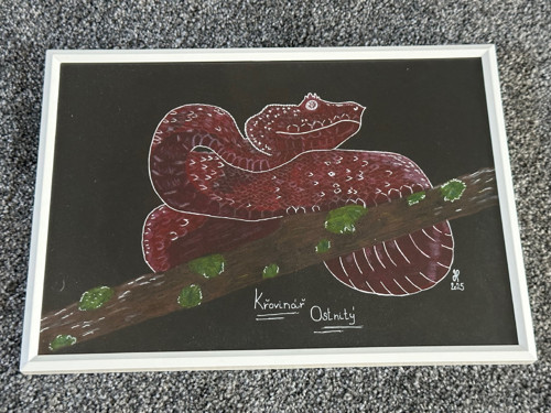 Obraz - Křovinář ostnitý - pastel/fix — foto 1