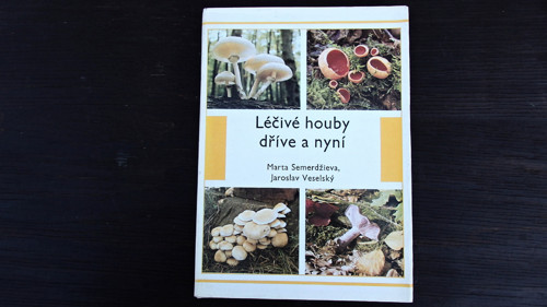 Léčivé houby dříve a nyní — foto 1