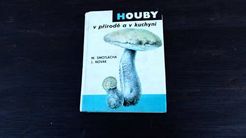 Houby v přírodě M. Smotlacha