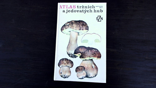Atlas tržních hub