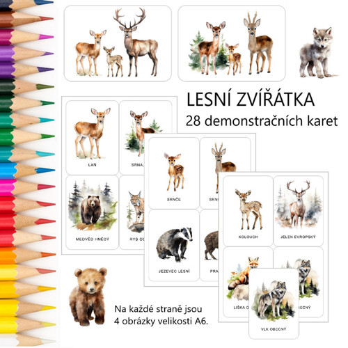 LESNÍ ZVÍŘÁTKA - 28 demonstračních karet v PDF