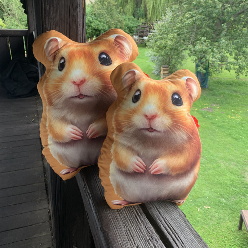 Křeček větší - 3D polštář — foto 1