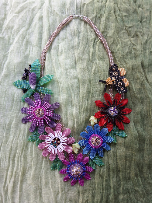Passiflora - barevné mučenky