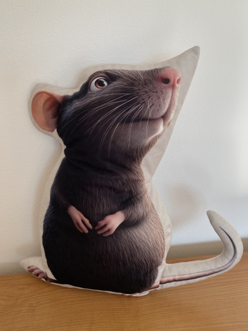 Polštář 3D - Potkánek dumbo k ochočení