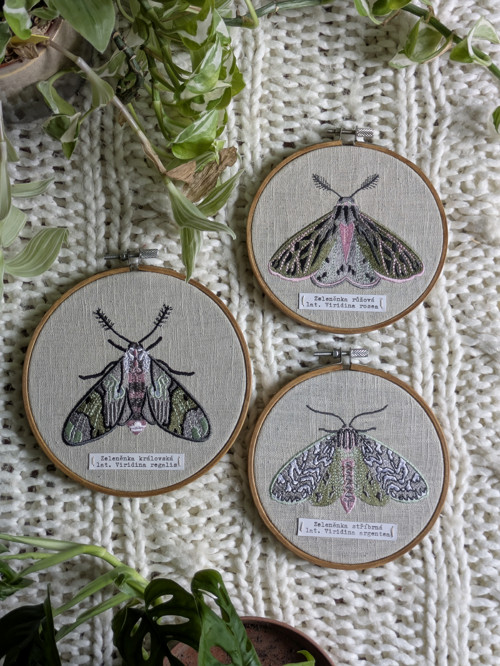 Entomologická sbírka vyšívaných můr - Rod VIRIDINA