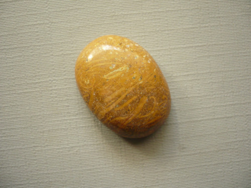 Kabošon - jaspis coquina 24 mm, č.15