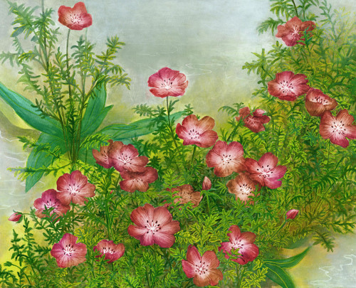 Nemophila Red Artprint