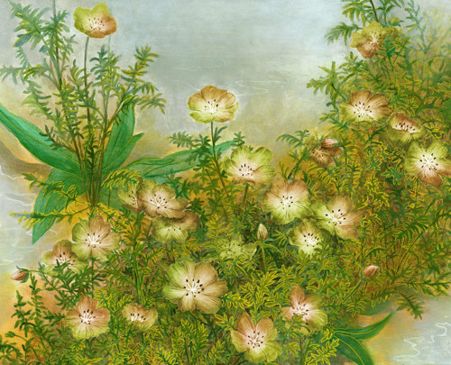 Nemophila Green Artprint