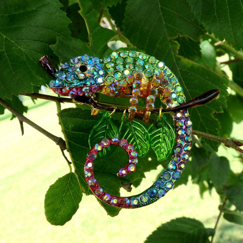 Brož - chameleon