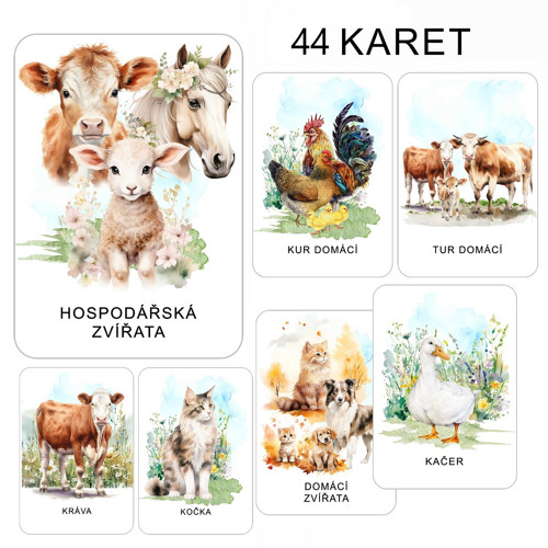 DOMÁCÍ A HOSPODÁŘSKÁ ZVÍŘATA - 44 karet v PDF
