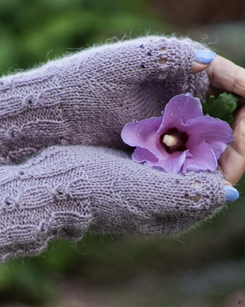 Mauve II... alpaca — foto 1