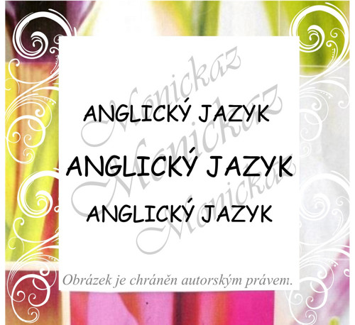 Anglický jazyk 171 n). Razítko. — foto 1