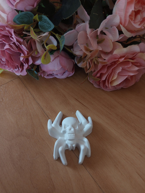 Pavouk 3D