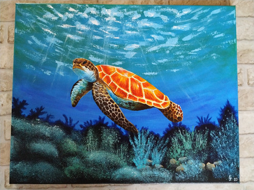 Caretta caretta 40x50 - akrylový obraz